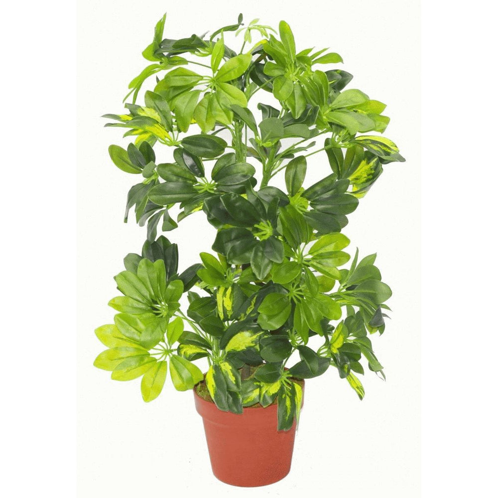 75cm Artificial Arboricola Gold Capella Plant - Gold Metal Planter-1