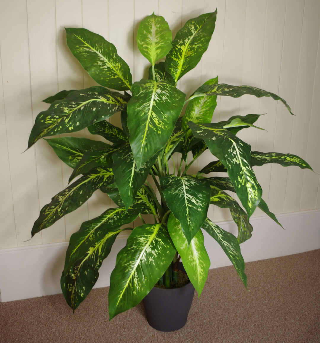 100cm Large Fox's Aglaonema (Spotted Evergreen) Tree Artificial Plant with Silver Metal Planter-1