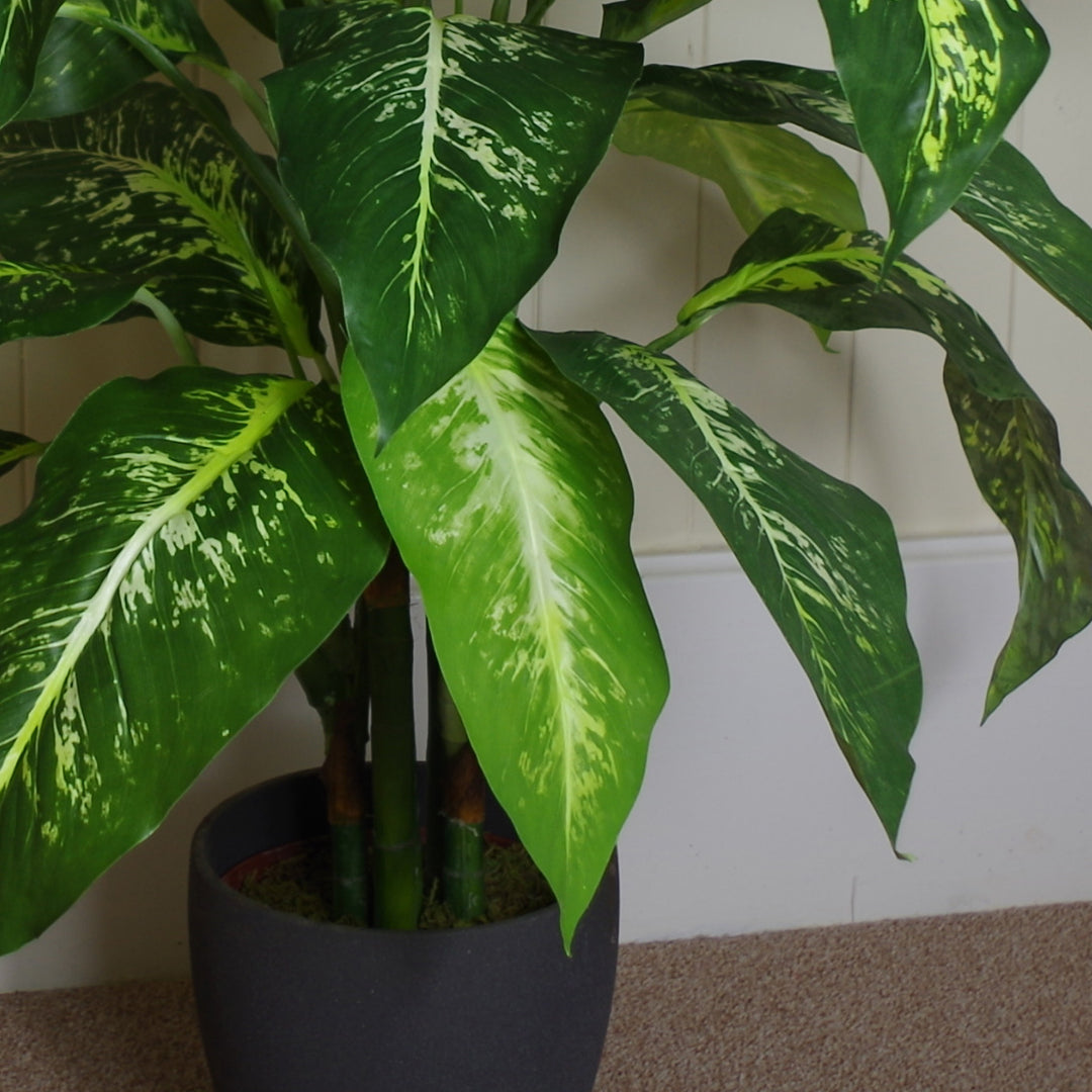 100cm Large Fox's Aglaonema (Spotted Evergreen) Tree Artificial Plant with Silver Metal Planter-3