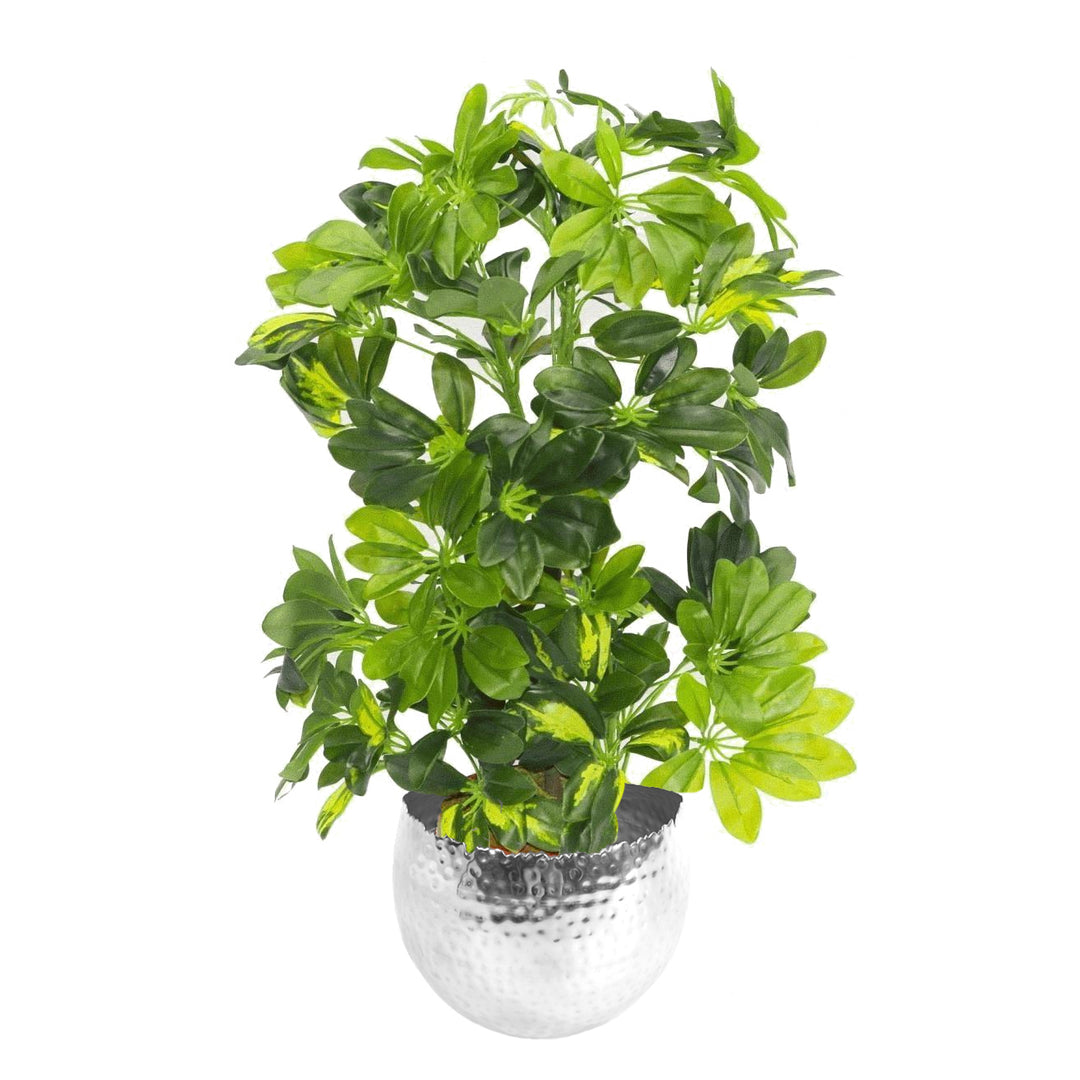 75cm Artificial Arboricola Gold Capella Plant - Silver Metal Planter-0