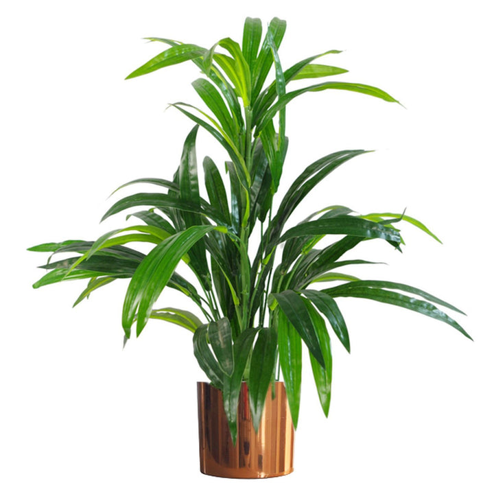 65cm Artificial Large Leaf Bamboo Shrub Plant with Copper Metal Planter-0