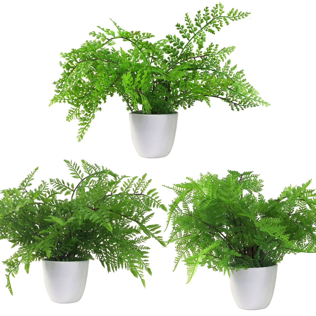 Pack of 3 x 30cm Artificial Ferns - Southern Wood - Lady and Royal - Potted-0