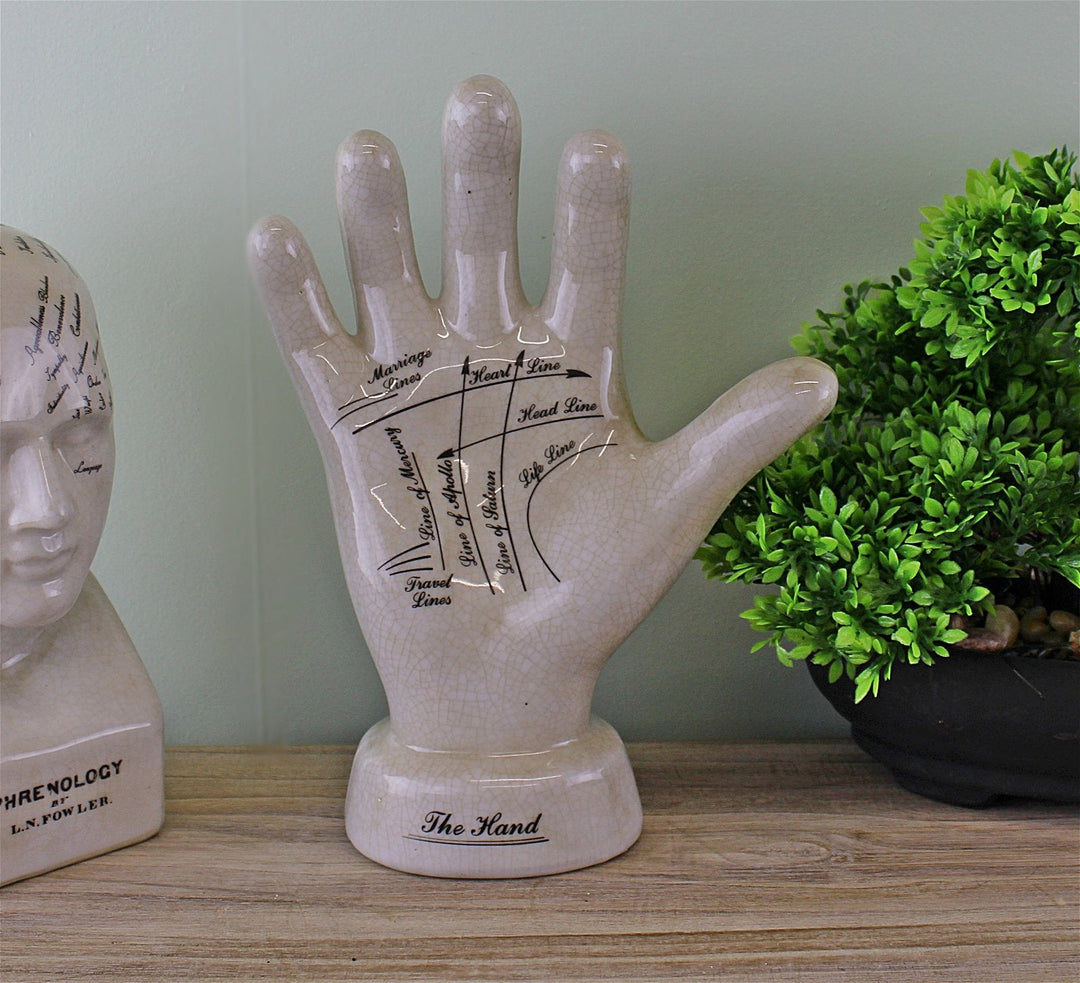 Ceramic Palmistry Hand 24cm-1