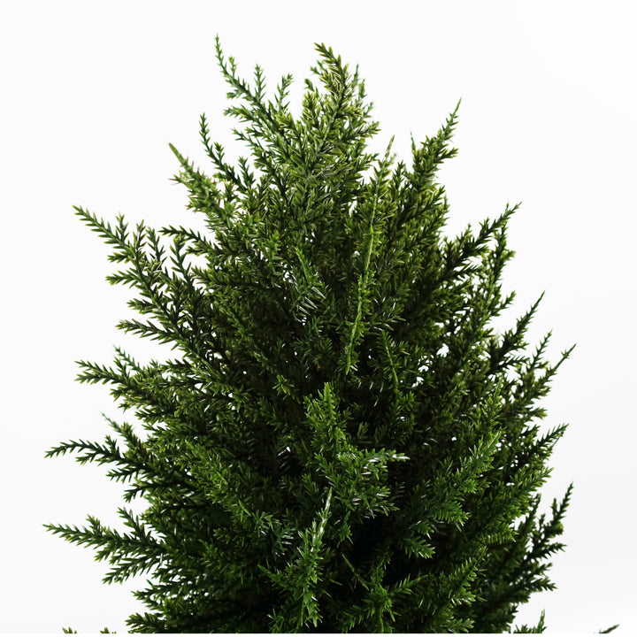 120cm Sprial Cypress Artificial Tree UV Resistant Outdoor-2