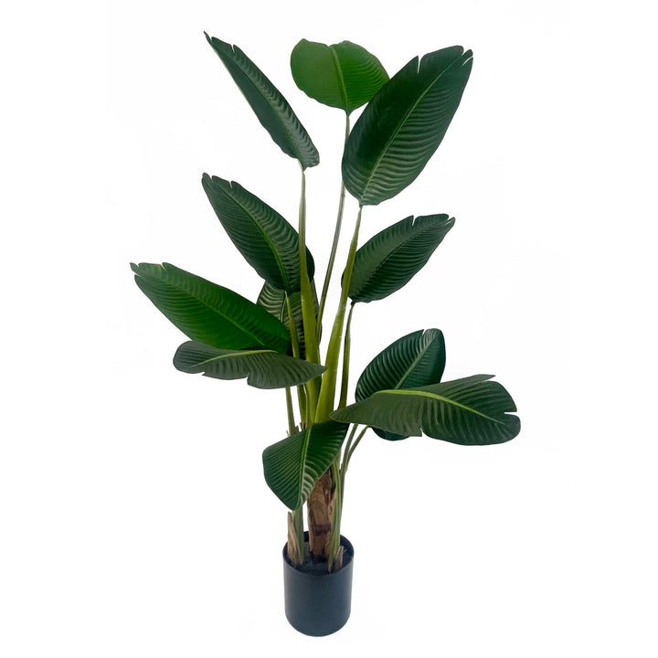 150cm UV Traveller Banana Palm Tree-0