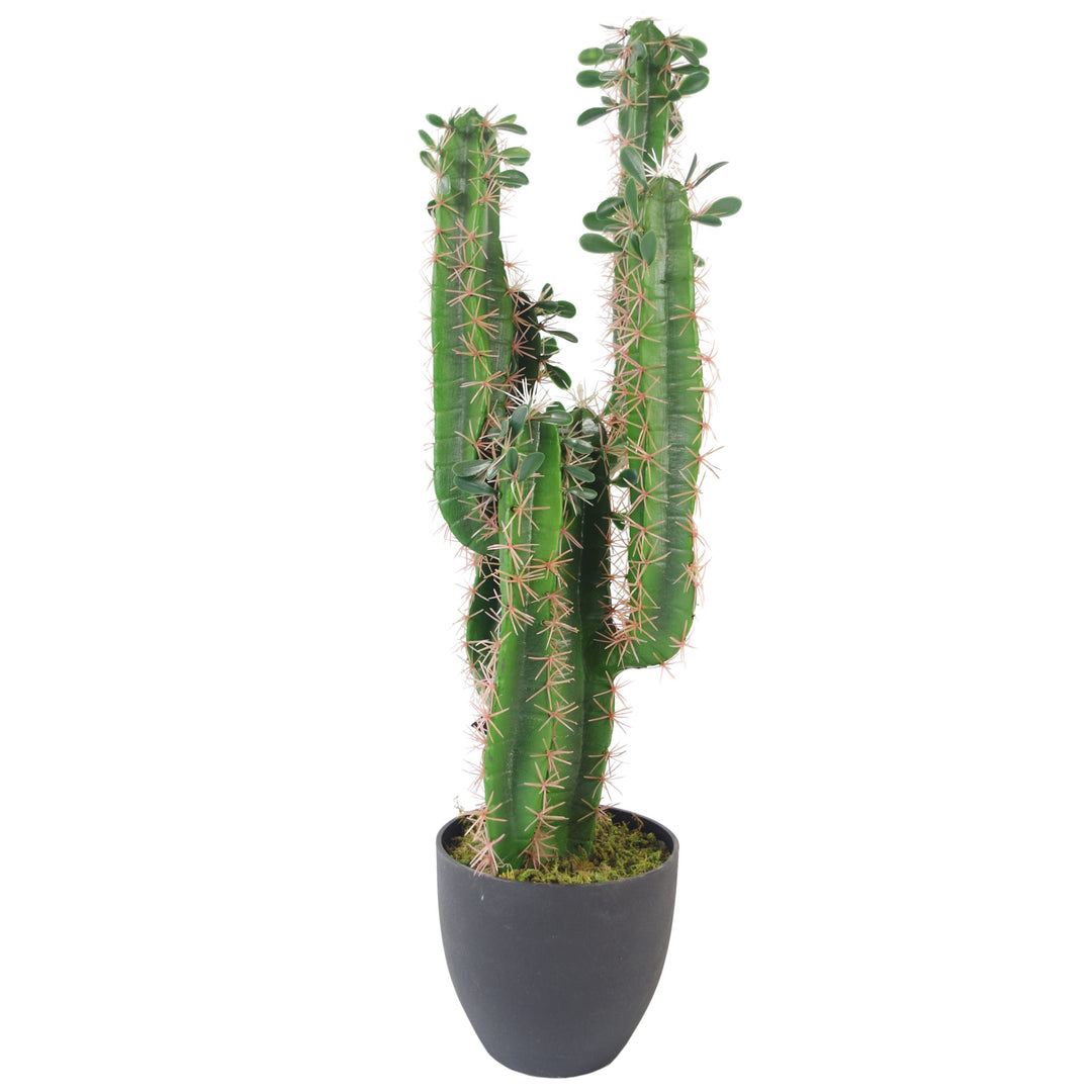 75cm Premium Artificial Cactus with pot-0