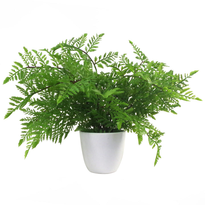 Pack of 3 x 30cm Artificial Ferns - Southern Wood - Lady and Royal - Potted-4