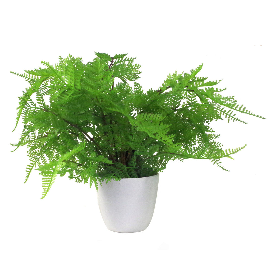 Pack of 3 x 30cm Artificial Ferns - Southern Wood - Lady and Royal - Potted-5