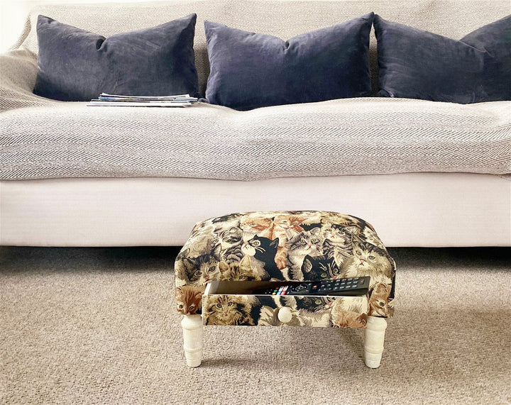 Cat Fabric Footstool with Drawer-1