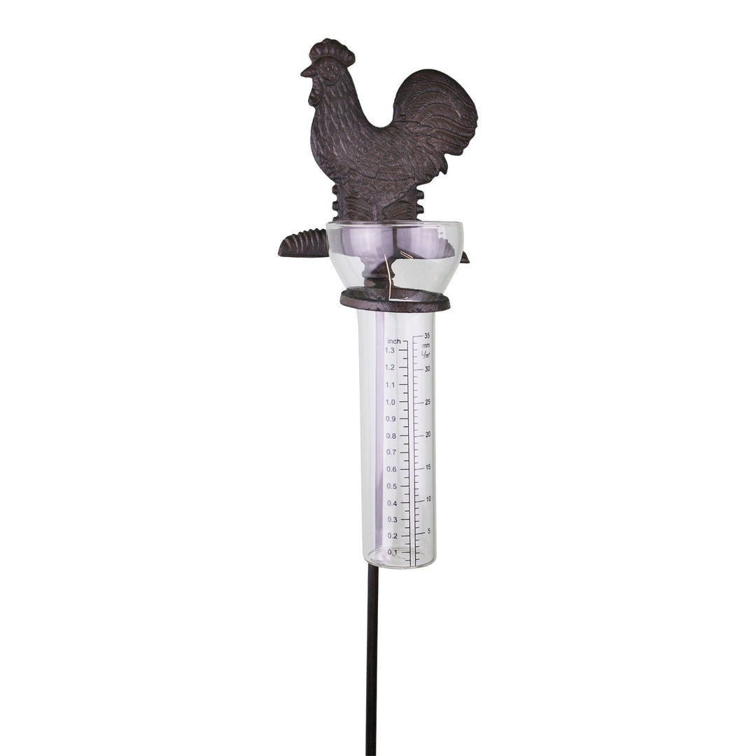 Cast Iron and Glass Garden Rain Gauge, Chicken-2