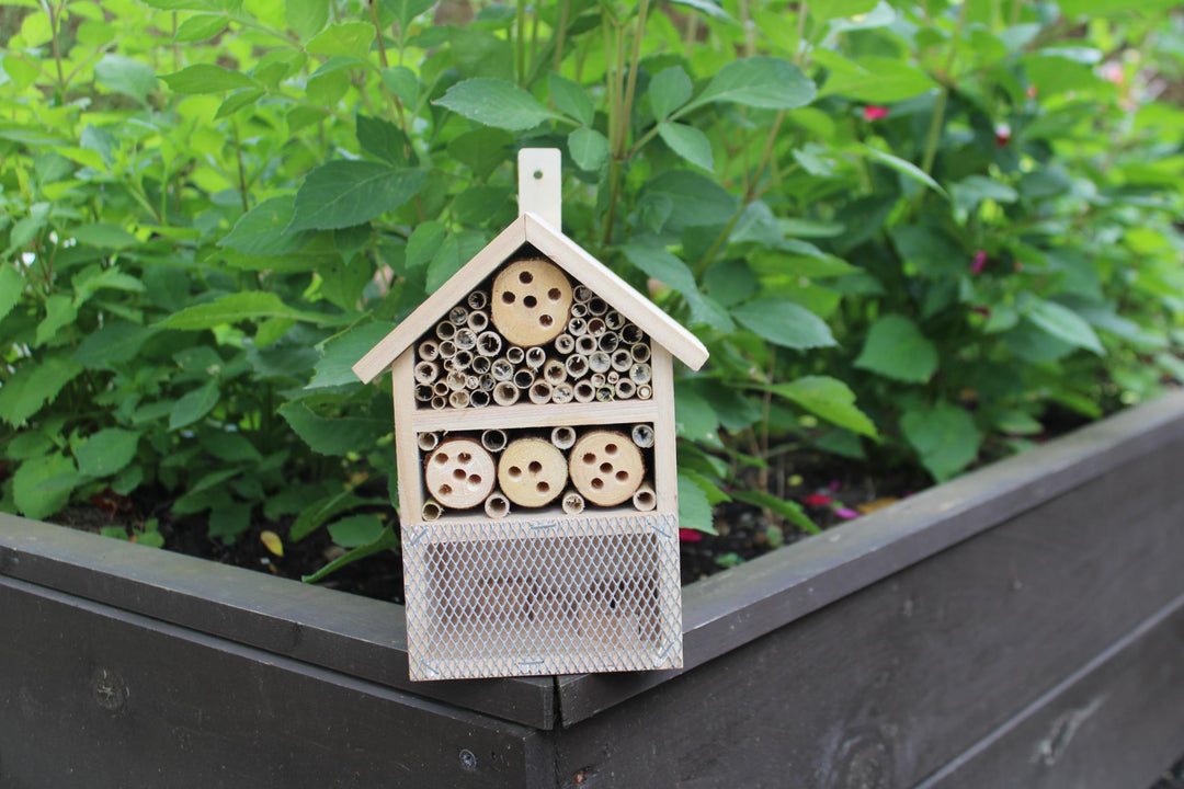 Wooden Insect House-2