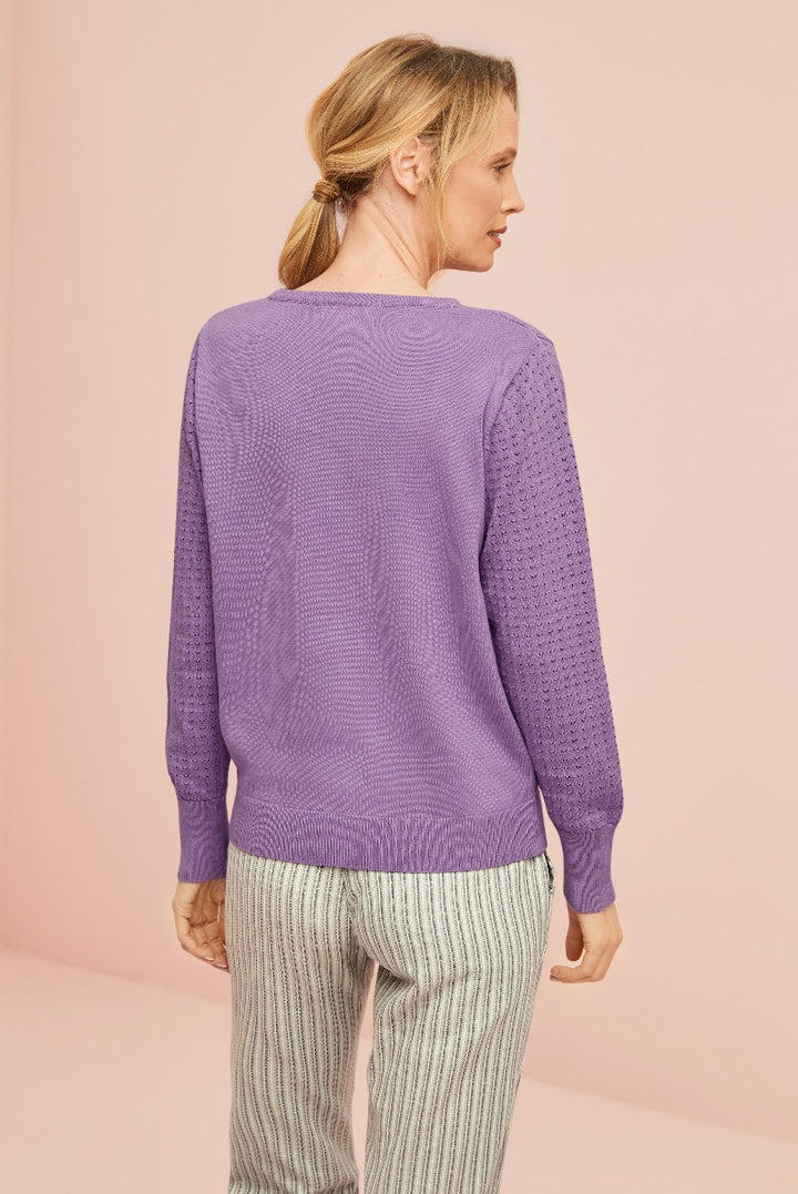 Wingrove Jumper